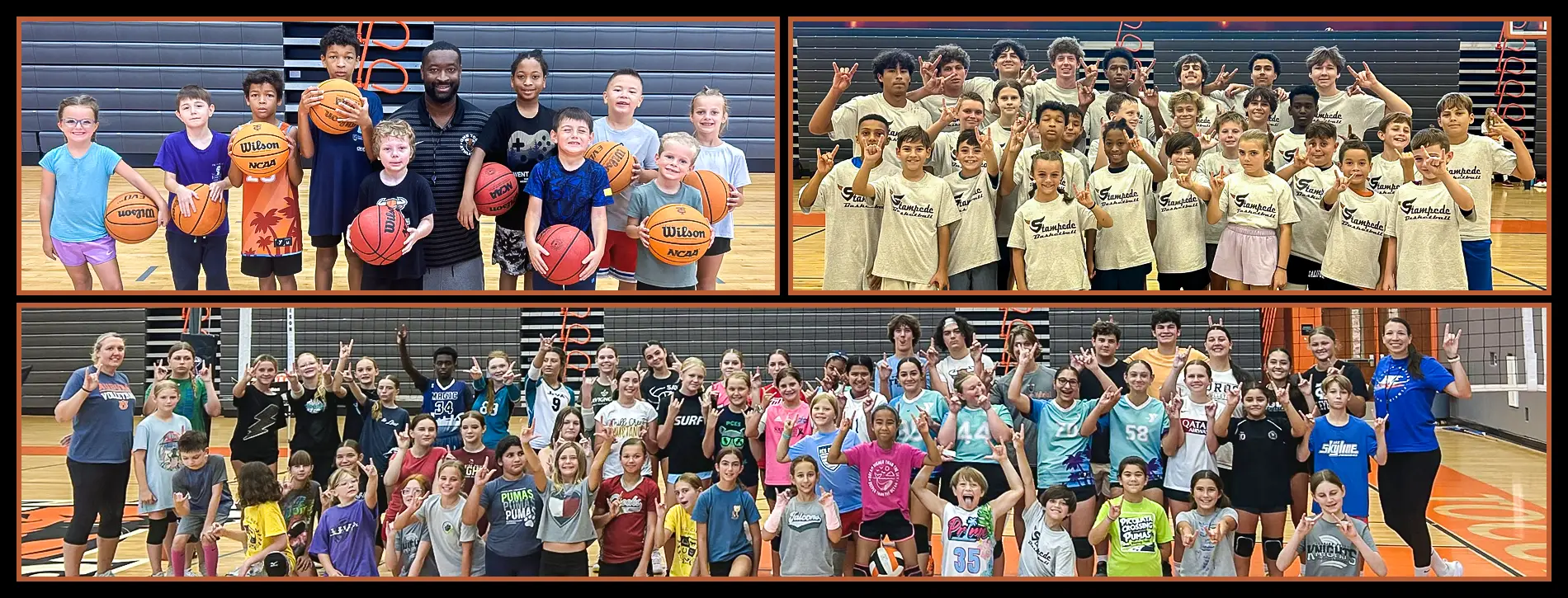 Stampede Athletics